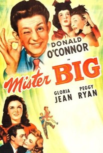 Poster for Mister Big