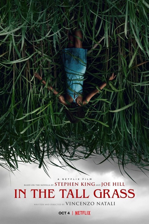 In the Tall Grass poster
