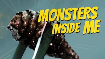 dreams about monsters Monster Ultra Strawberry DreamsMonster Ultra Strawberry Dreams 500ml U –  Americandy main image 1