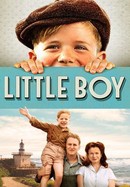 Little Boy poster image