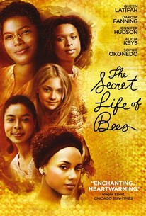 the secret life of bees movie summary