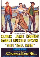 The Tall Men poster image