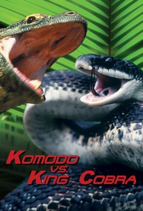 Komodo vs. Cobra (2005) - Rotten Tomatoes