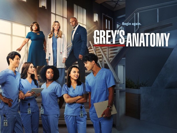Grey s Anatomy Season 14 Episode 13 Rotten Tomatoes