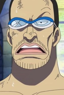 One Piece Season 13 Episode 11 Rotten Tomatoes