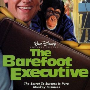 The Barefoot Executive photo 11