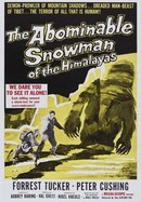 The Abominable Snowman of the Himalayas poster image