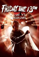 Friday the 13th, Part VI: Jason Lives poster image