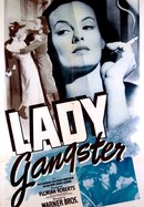 Lady Gangster poster image