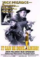 It Can Be Done, Amigo poster image