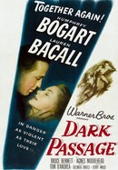 Dark Passage poster image