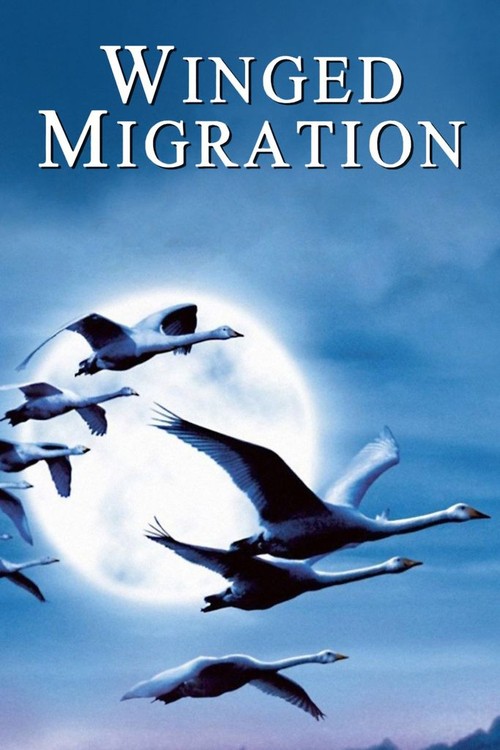 Winged Migration poster
