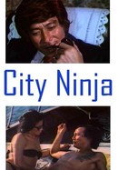 City Ninja poster image