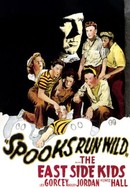 Spooks Run Wild poster image