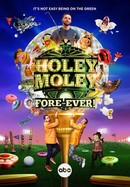 Holey Moley poster image