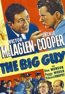 The Big Guy poster image