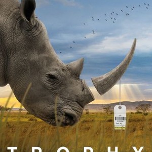 "Trophy photo 14"