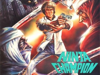 Ninja Champion