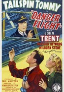Danger Flight poster image