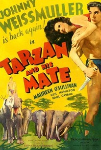 Poster for Tarzan and His Mate