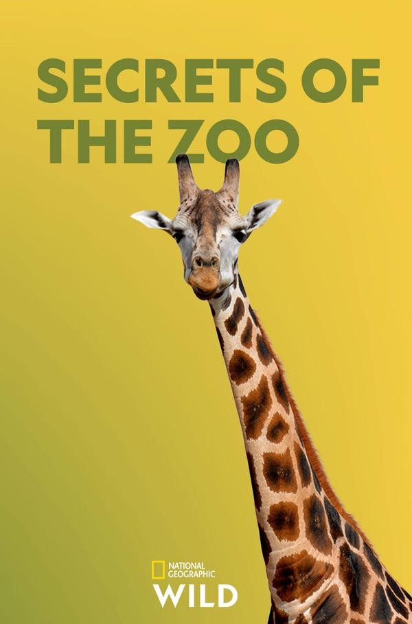 Secrets of the Zoo Season 2 Pictures Rotten Tomatoes