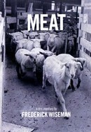 Meat poster image