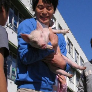 School Days with a Pig (2008) photo 2