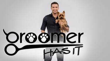 Groomer has sales it
