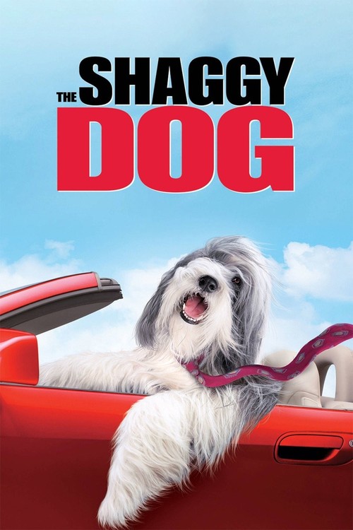 The Shaggy Dog poster