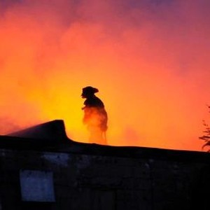 Burn photo 11