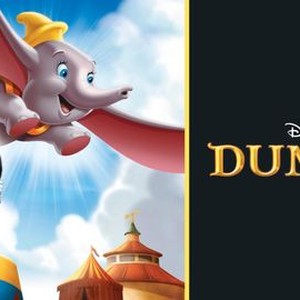 Dumbo photo 14