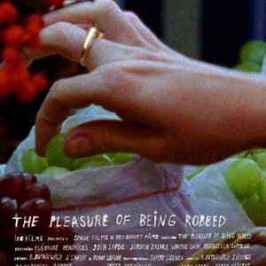 The Pleasure of Being Robbed (2008) photo 15
