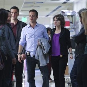 CSI: New York: Season 8, Episode 18 - Rotten Tomatoes