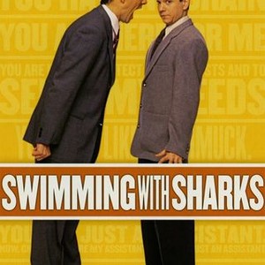 Swimming With Sharks photo 3