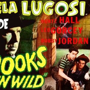 Spooks Run Wild photo 11