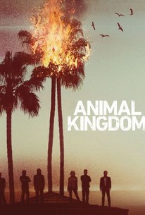 Animal Kingdom: Season 1 poster image