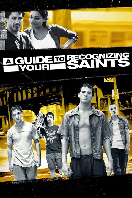 A Guide to Recognizing Your Saints poster