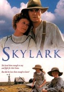 Skylark poster image