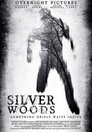 Silver Woods poster image