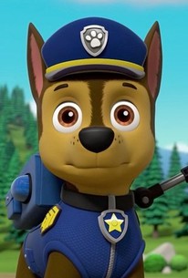 paw patrol freaky pup day