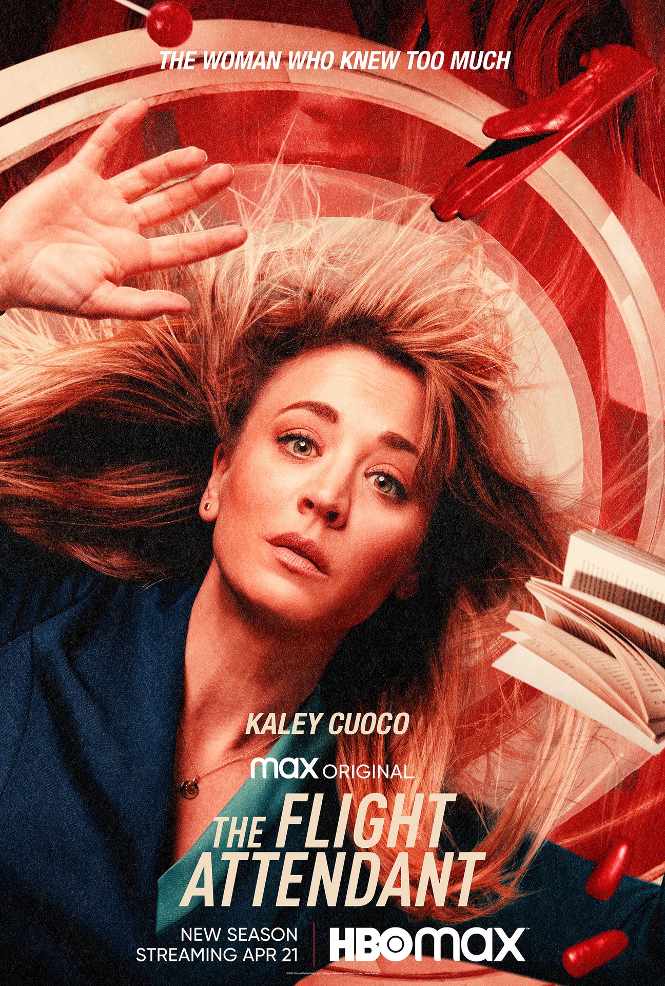 The Flight Attendant: The Complete Seasons 1 & 2 (DVD) : Various, Various:  Movies & TV 