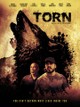 Torn