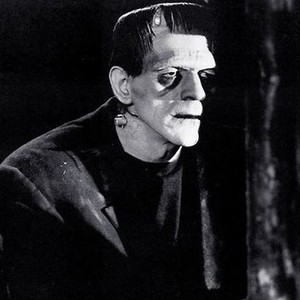 Frankenstein (1931) photo 5