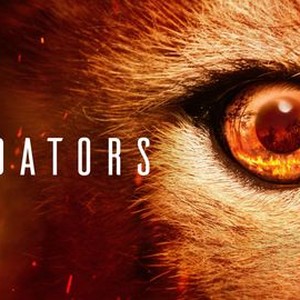 Predators - Rotten Tomatoes