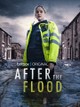 After the Flood