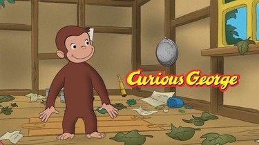 The Curious Monkey