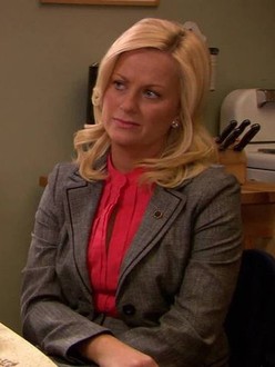 Parks and Recreation Season 1 Episode 3 Rotten Tomatoes
