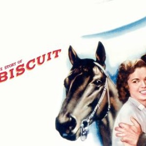 The Story of Seabiscuit photo 4