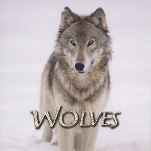Wolves (1999) photo 1