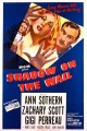 Shadow on the Wall